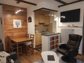 Petit paradis cocooning avec balcon à Torgon Vionnaz